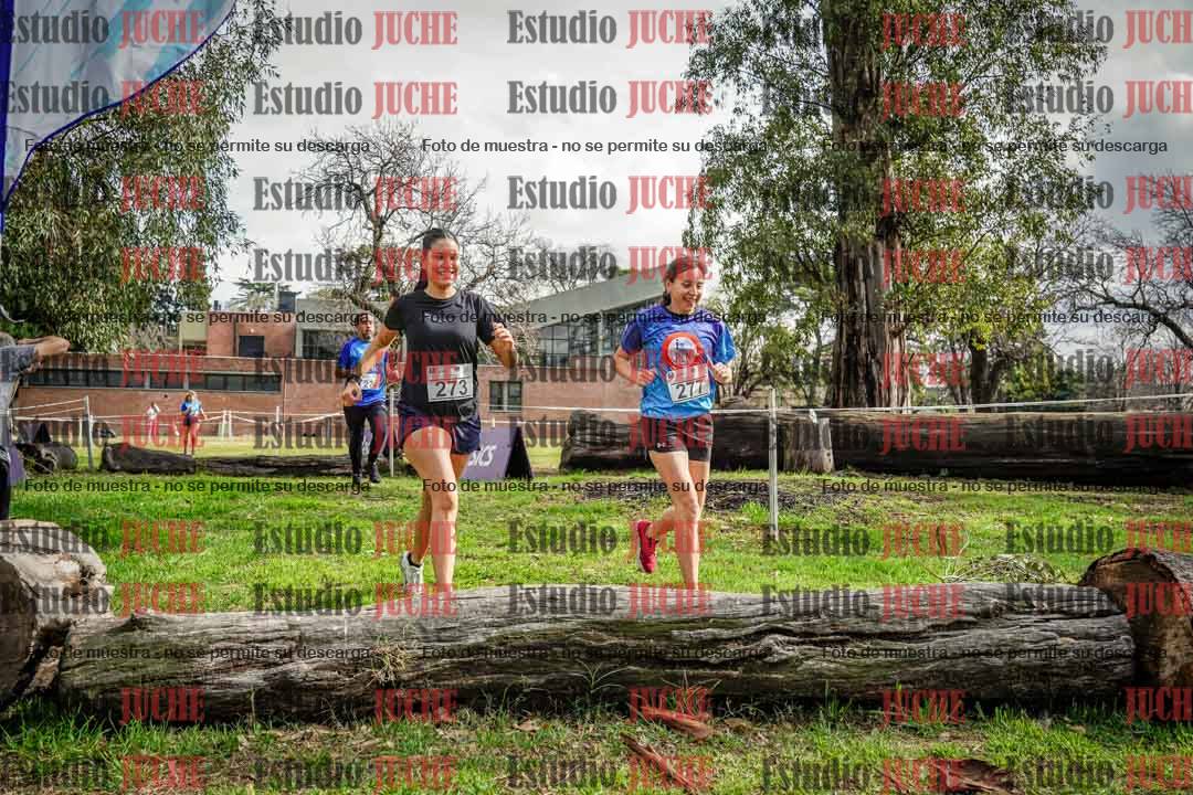 Fotos en el circuito