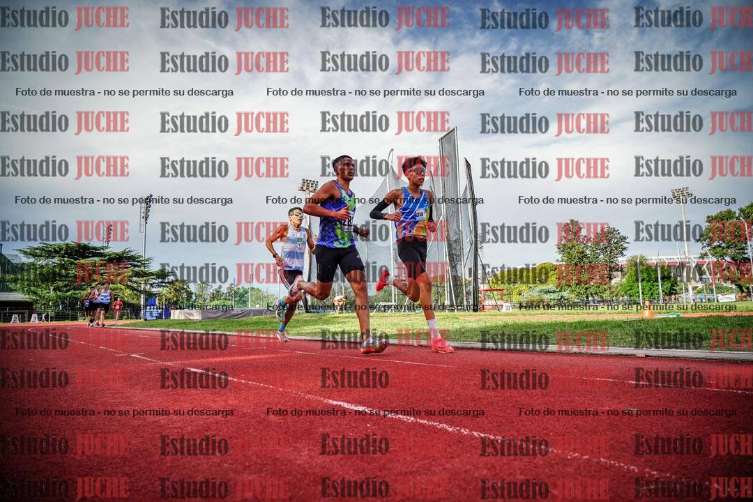 Fotos de los 3000 m llanos de varones