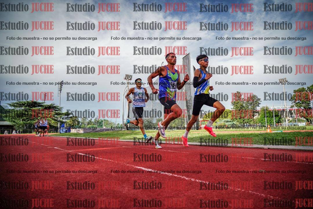 Fotos de los 3000 m llanos de varones