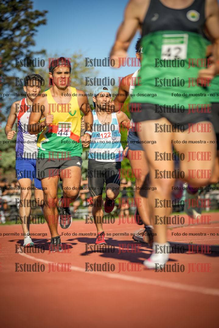 Fotos de los 3000 m llanos de varones