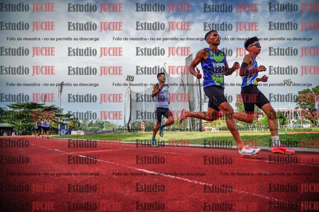 Fotos de los 3000 m llanos de varones