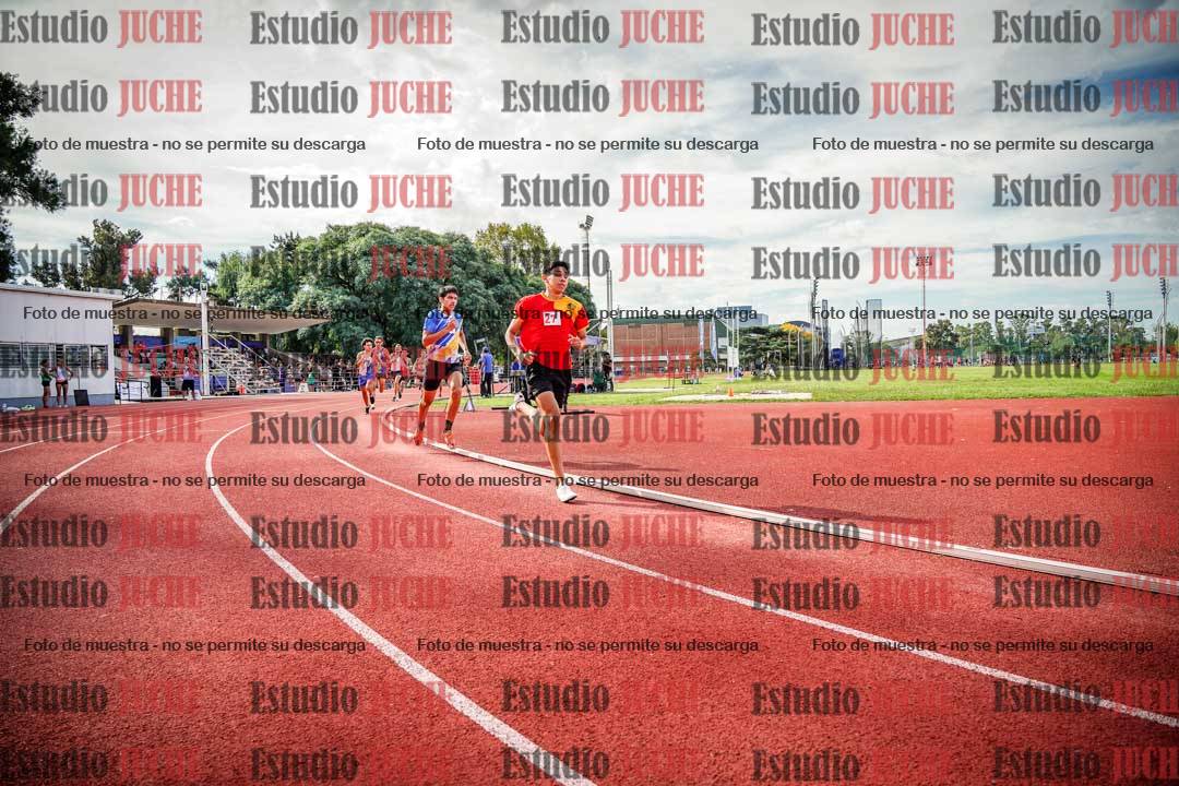 Fotos de los 800 m llanos de varones
