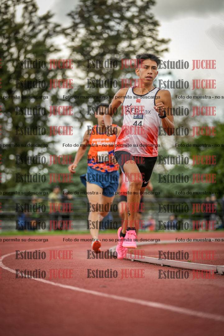 Fotos de los 3000 m llanos de varones