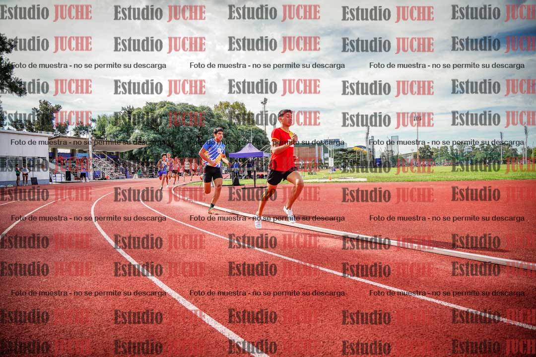 Fotos de los 800 m llanos de varones