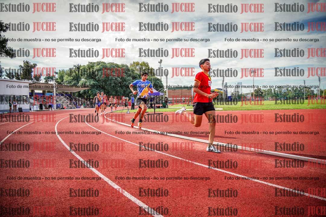 Fotos de los 800 m llanos de varones