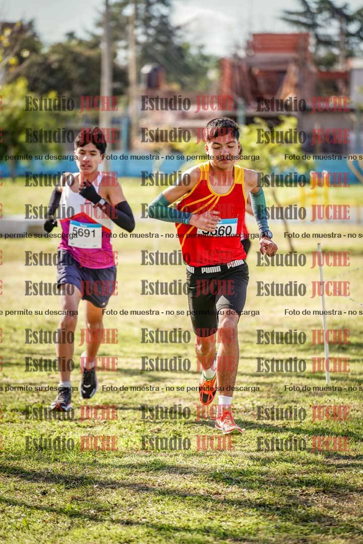 Fotos en el circuito