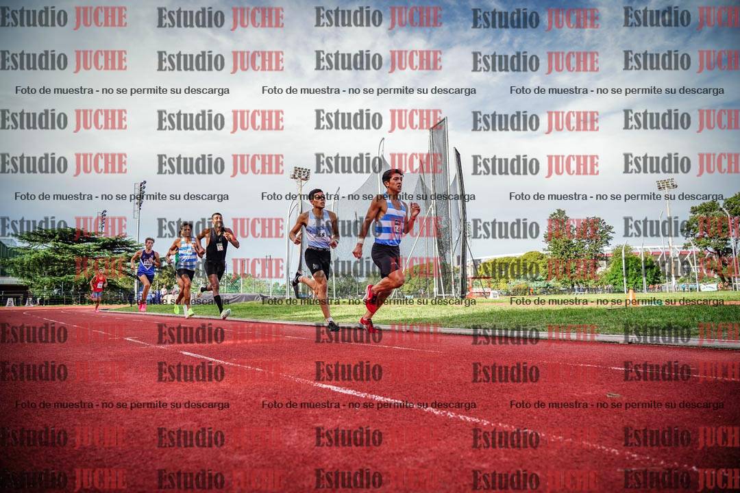 Fotos de los 3000 m llanos de varones