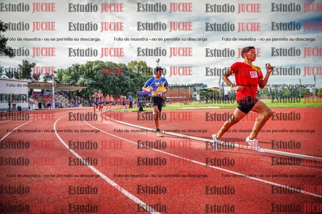 Fotos de los 800 m llanos de varones