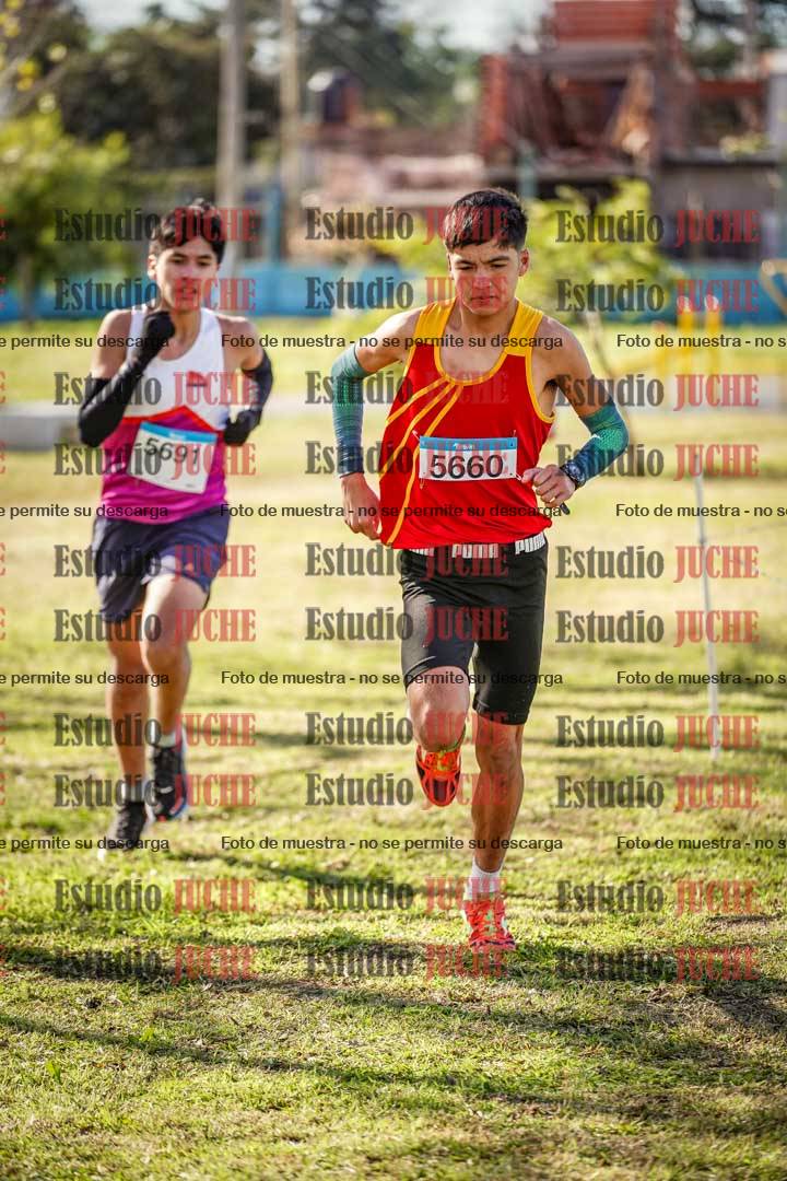 Fotos en el circuito