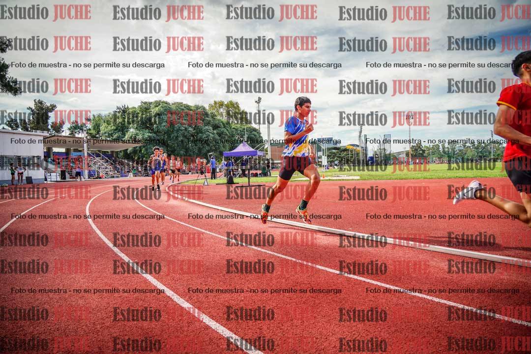 Fotos de los 800 m llanos de varones