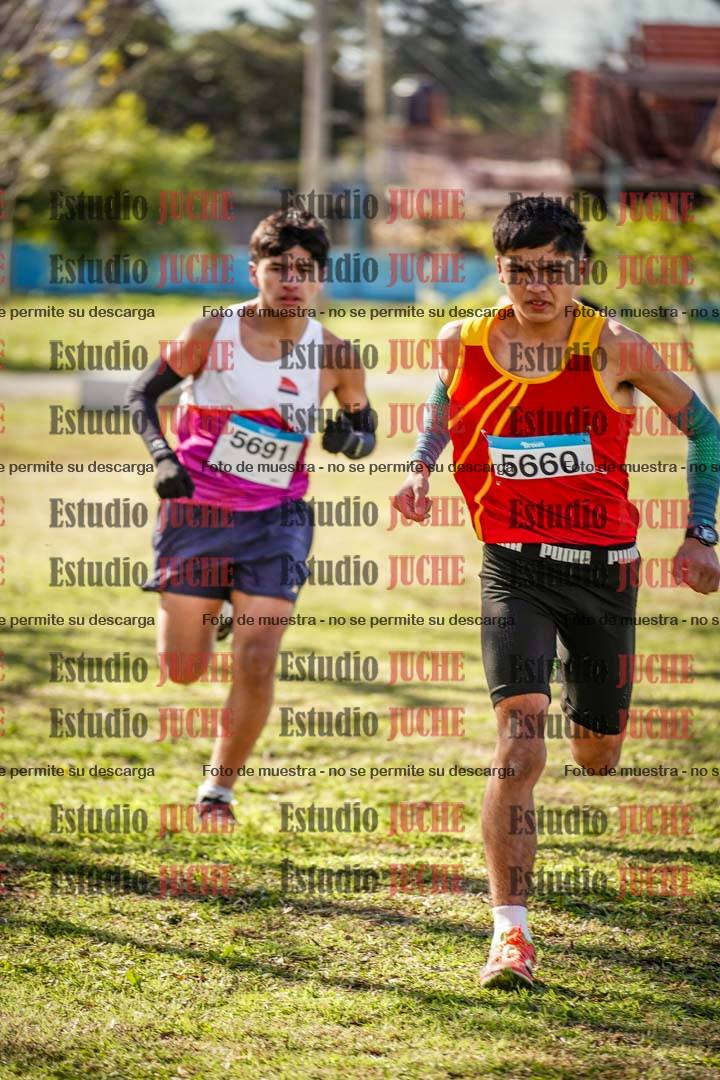Fotos en el circuito