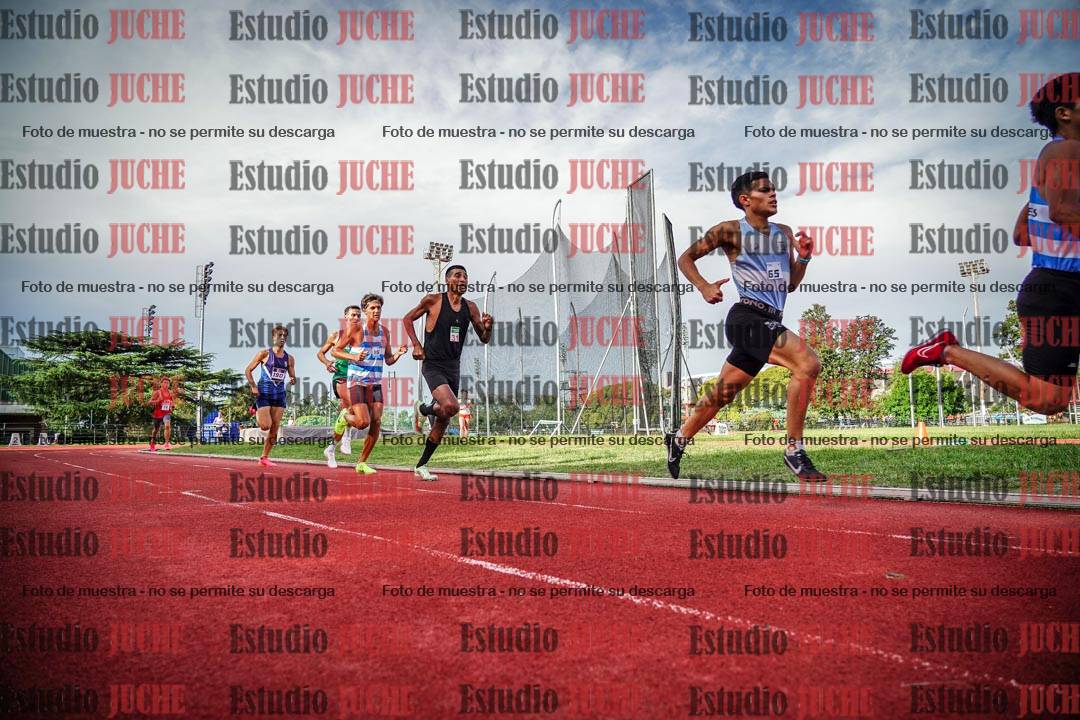 Fotos de los 3000 m llanos de varones