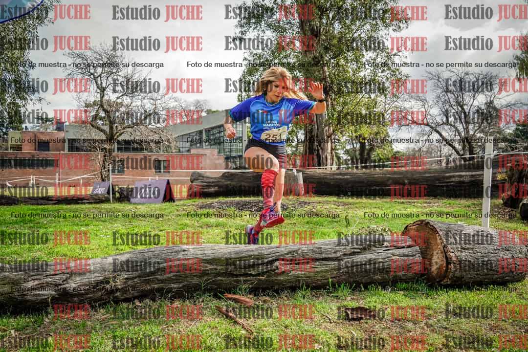 Fotos en el circuito