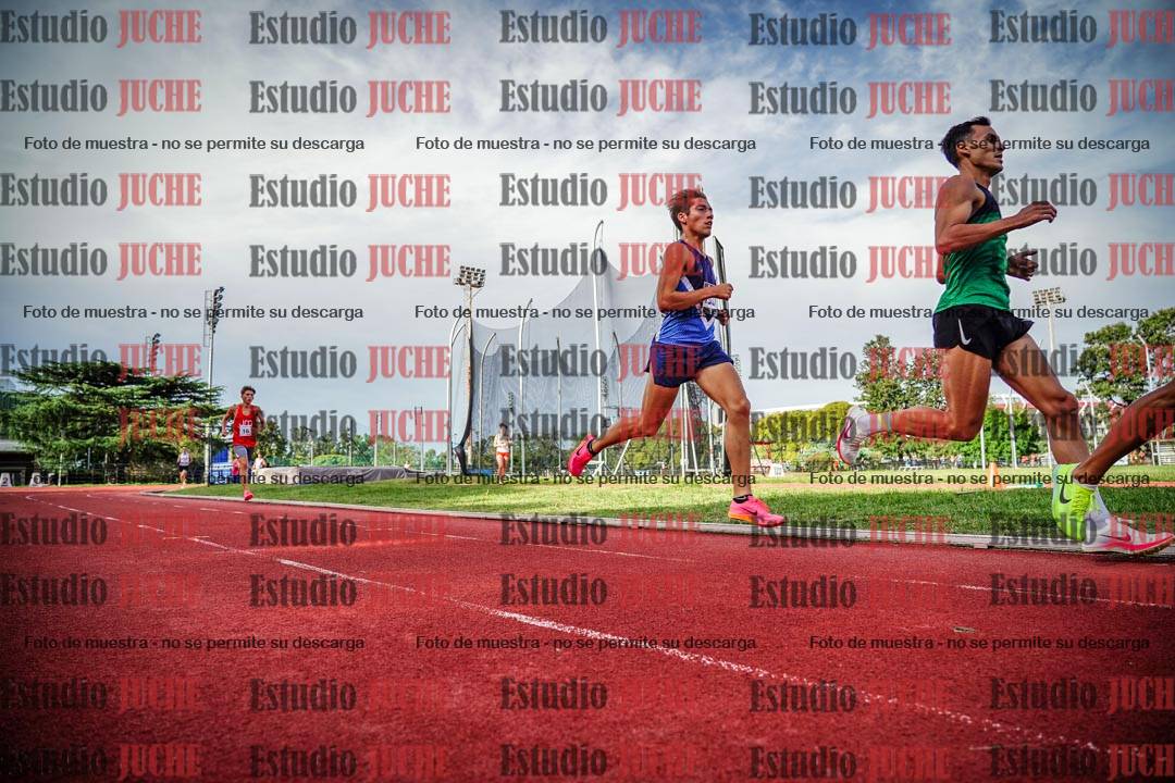 Fotos de los 3000 m llanos de varones