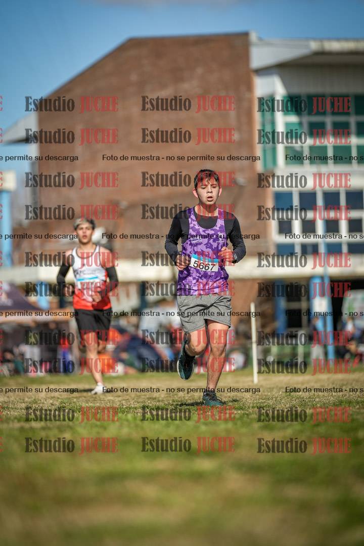 Fotos en el circuito