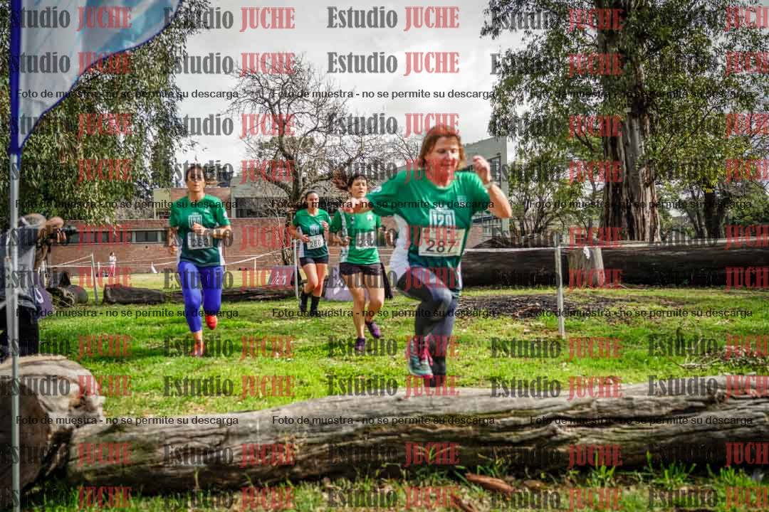Fotos en el circuito