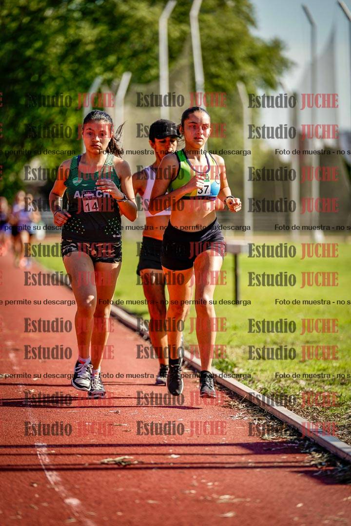 Fotos de los 5000 m llanos de mujeres y varones