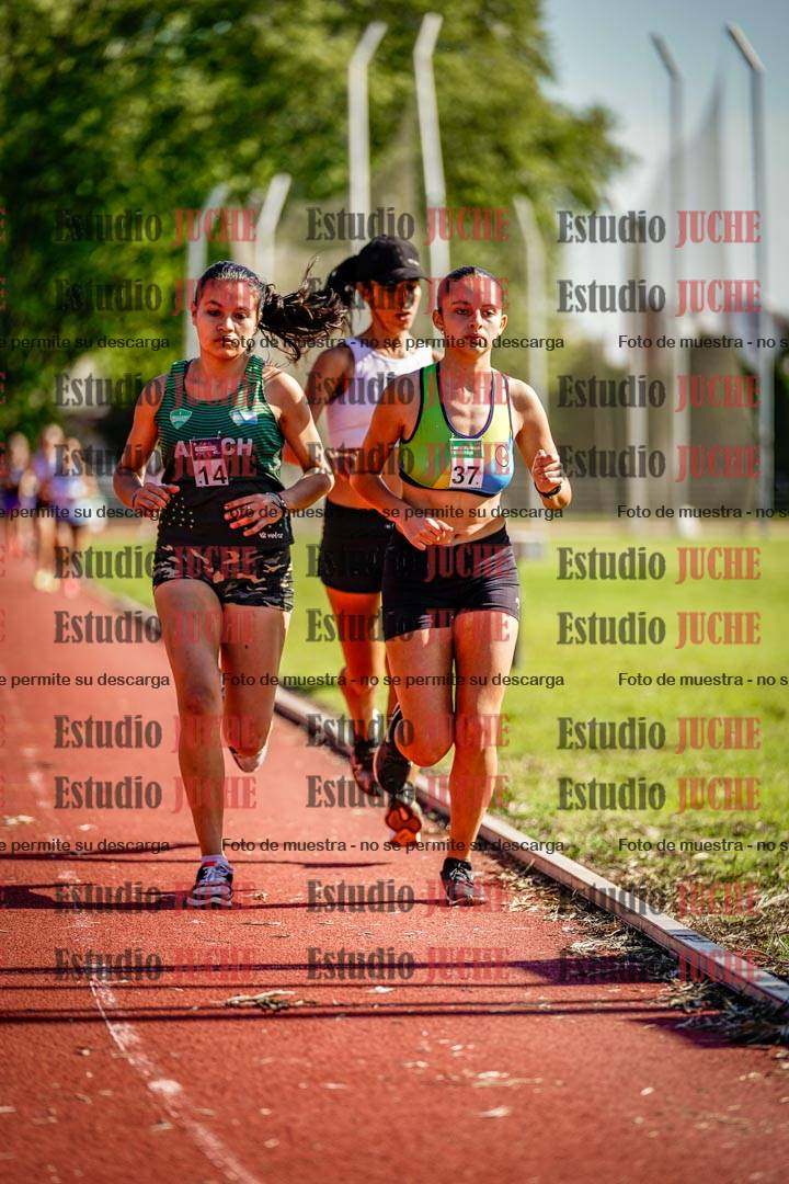 Fotos de los 5000 m llanos de mujeres y varones