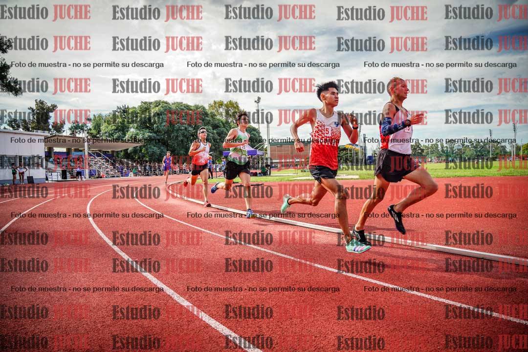 Fotos de los 800 m llanos de varones