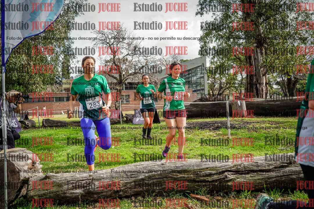 Fotos en el circuito