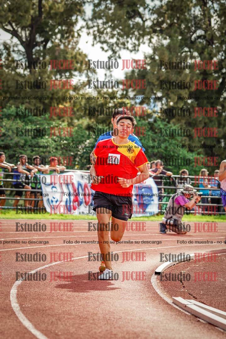Fotos de los 800 m llanos de varones