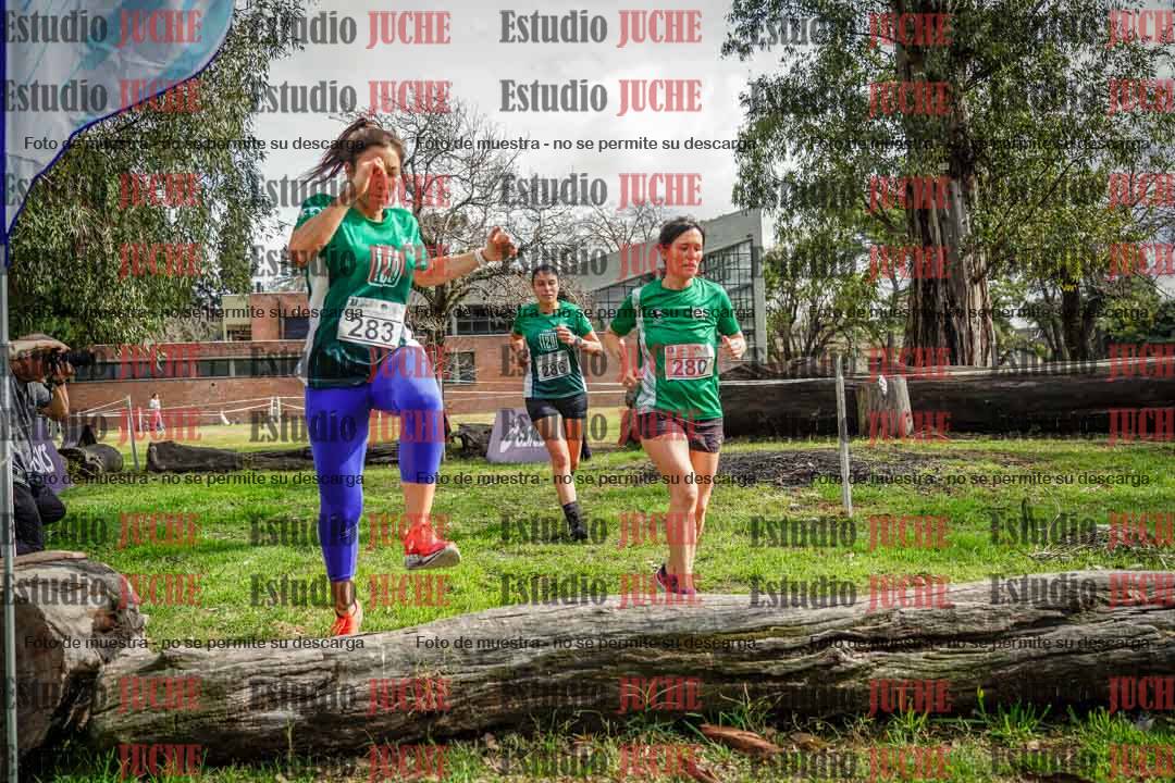 Fotos en el circuito