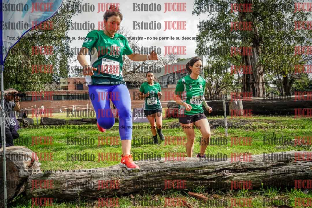 Fotos en el circuito