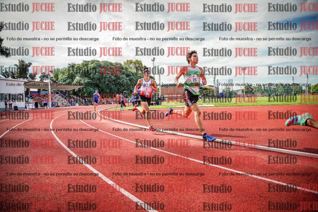 Fotos de los 800 m llanos de varones