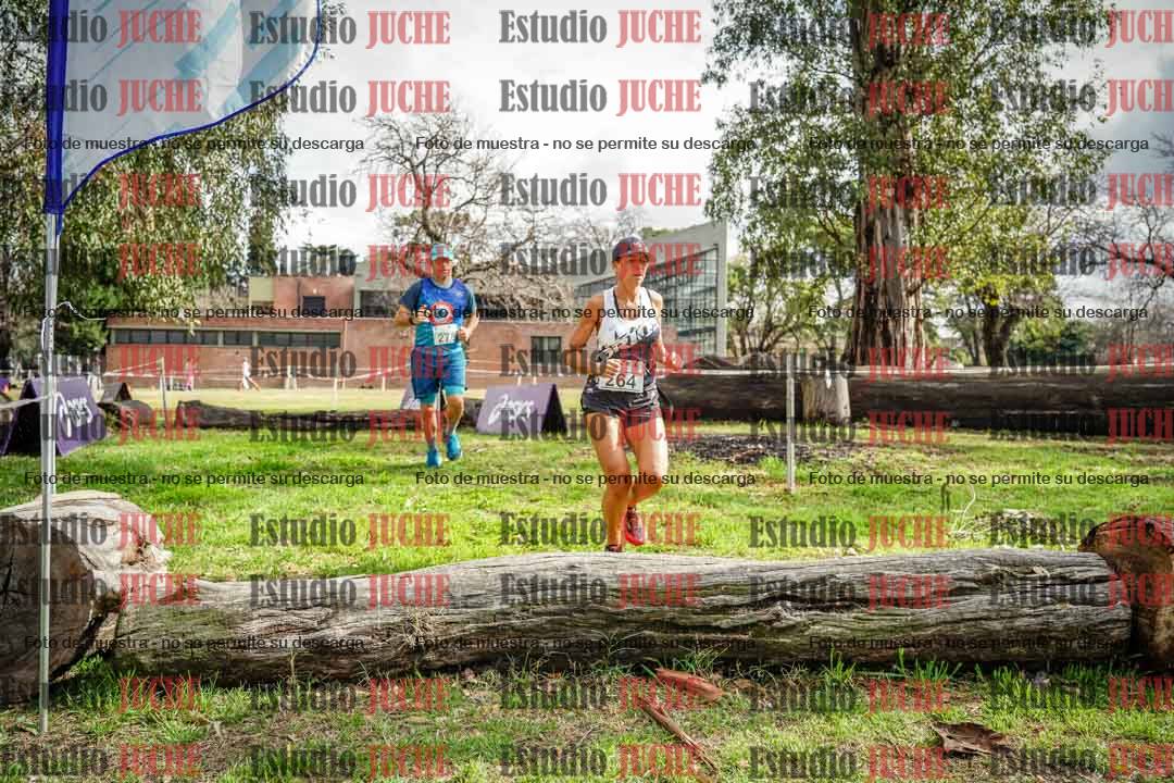 Fotos en el circuito