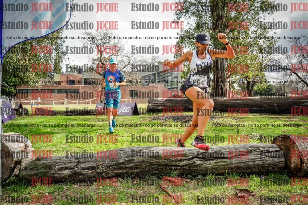 Fotos en el circuito