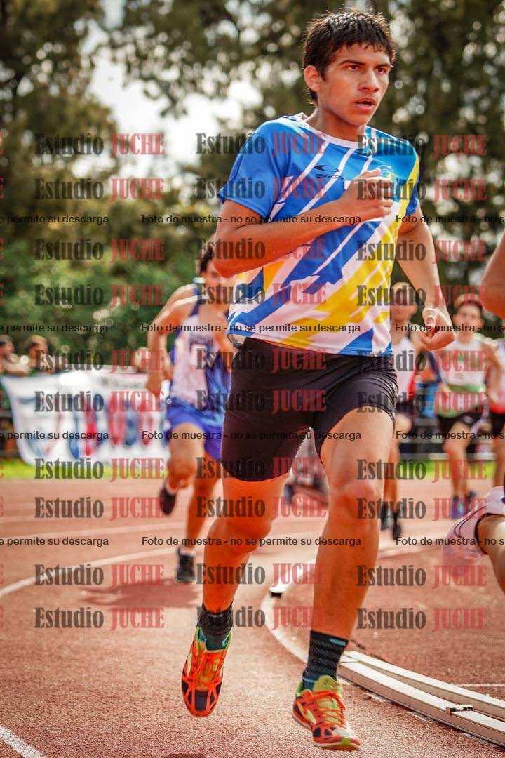 Fotos de los 800 m llanos de varones