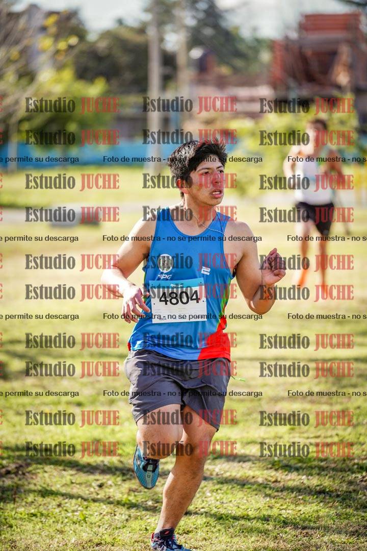 Fotos en el circuito