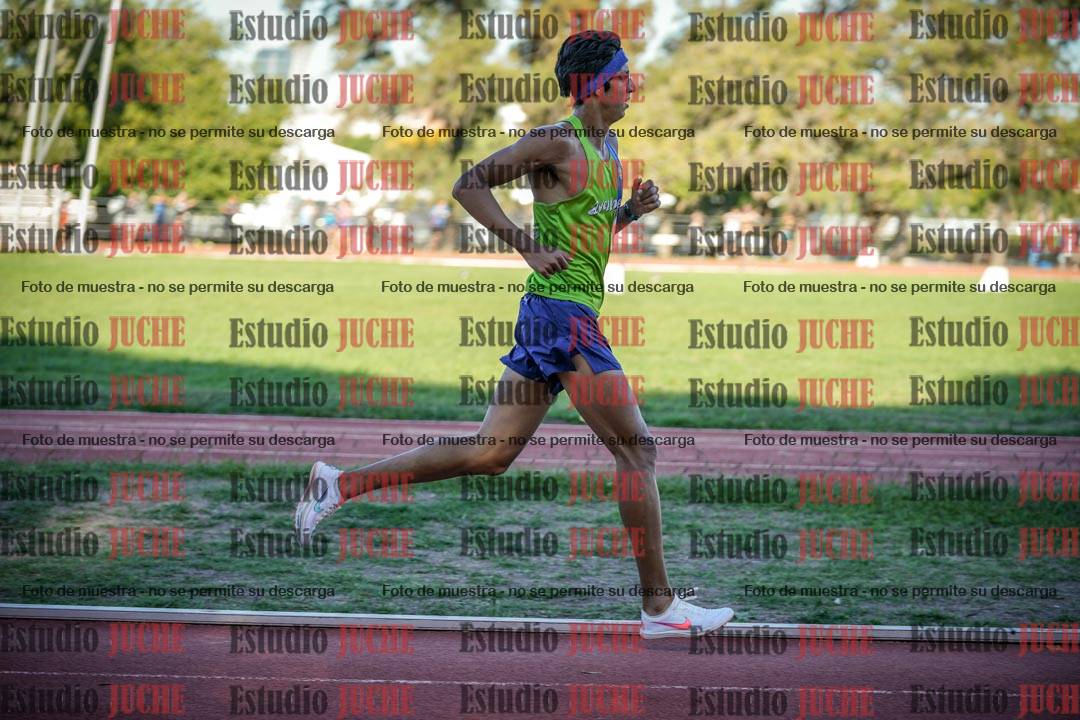 Fotos de los 3000 m llanos de varones