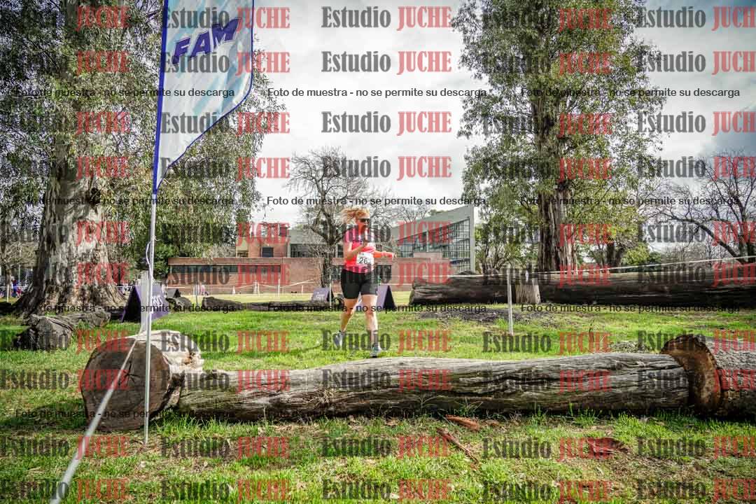 Fotos en el circuito