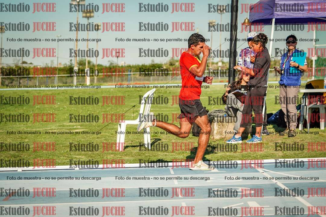 Fotos de los 3000 m llanos de varones