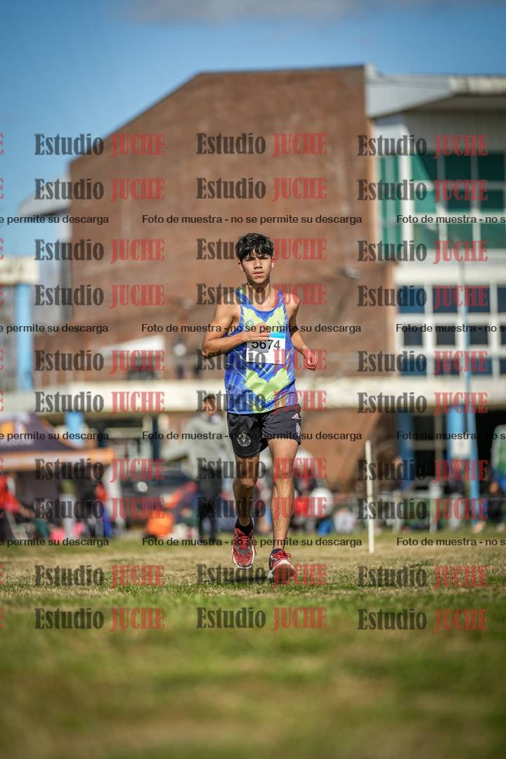 Fotos en el circuito