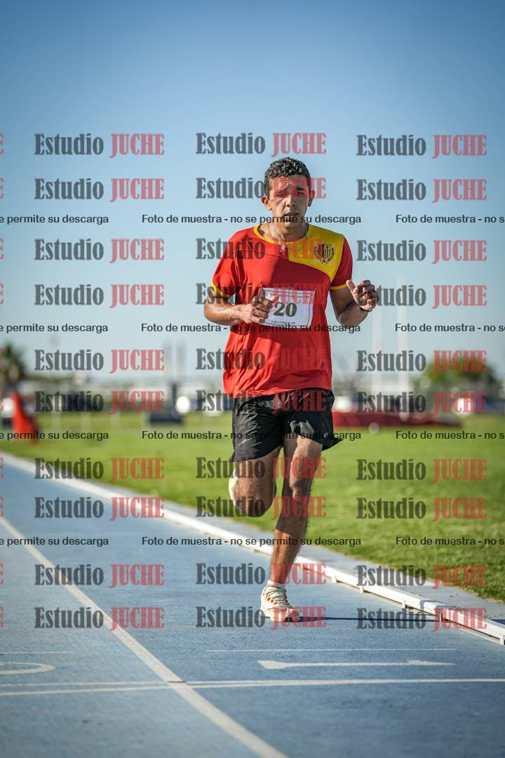 Fotos de los 3000 m llanos de varones