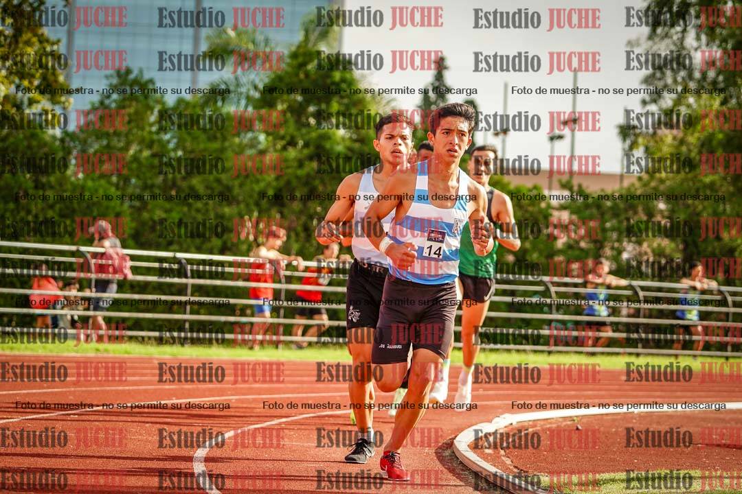 Fotos de los 3000 m llanos de varones