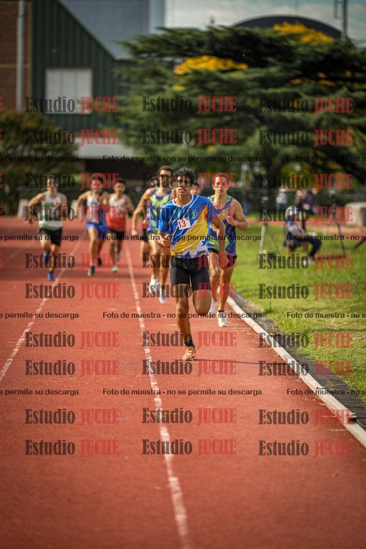 Fotos de los 800 m llanos de varones