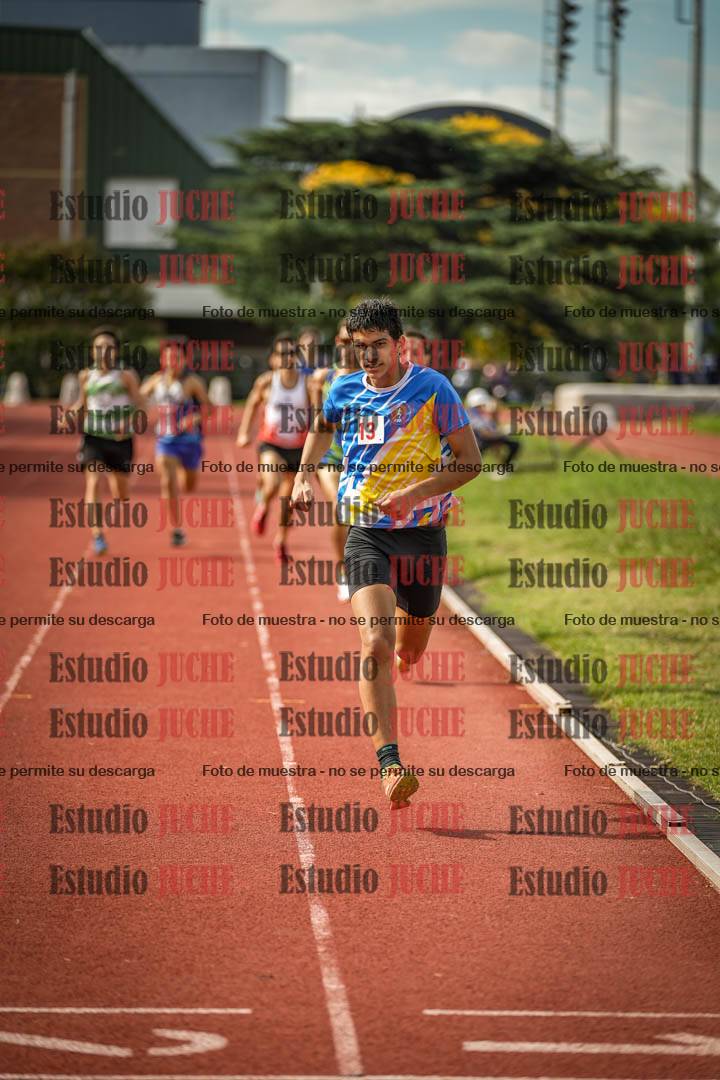 Fotos de los 800 m llanos de varones