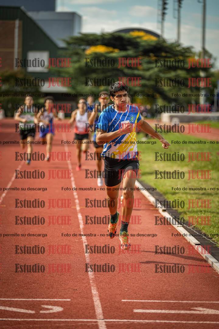Fotos de los 800 m llanos de varones