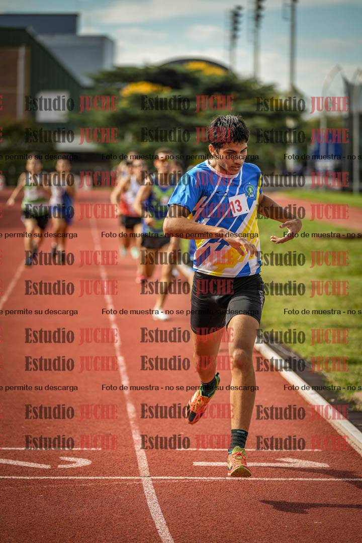 Fotos de los 800 m llanos de varones