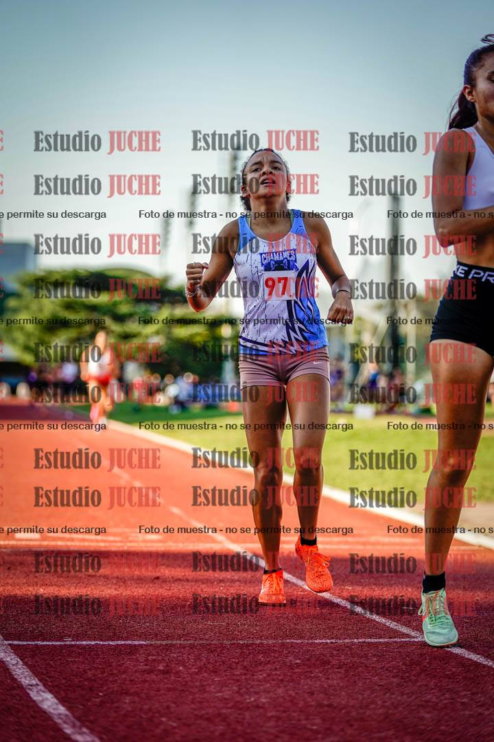 Fotos de los 1500 m de mujeres