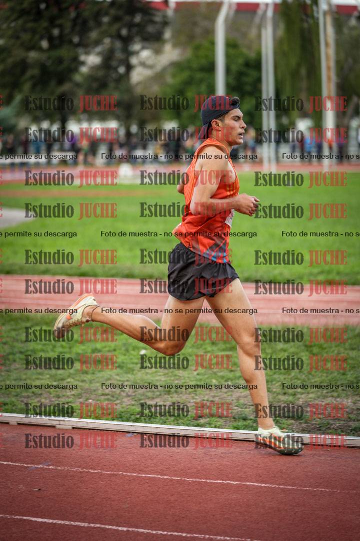Fotos de los 3000 m llanos de varones