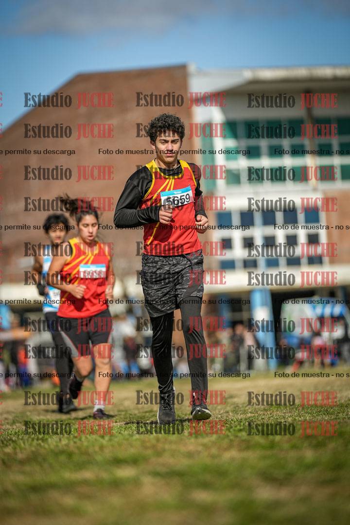 Fotos en el circuito