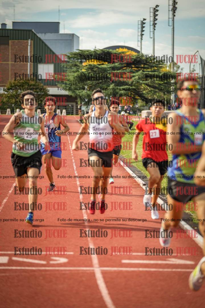 Fotos de los 800 m llanos de varones