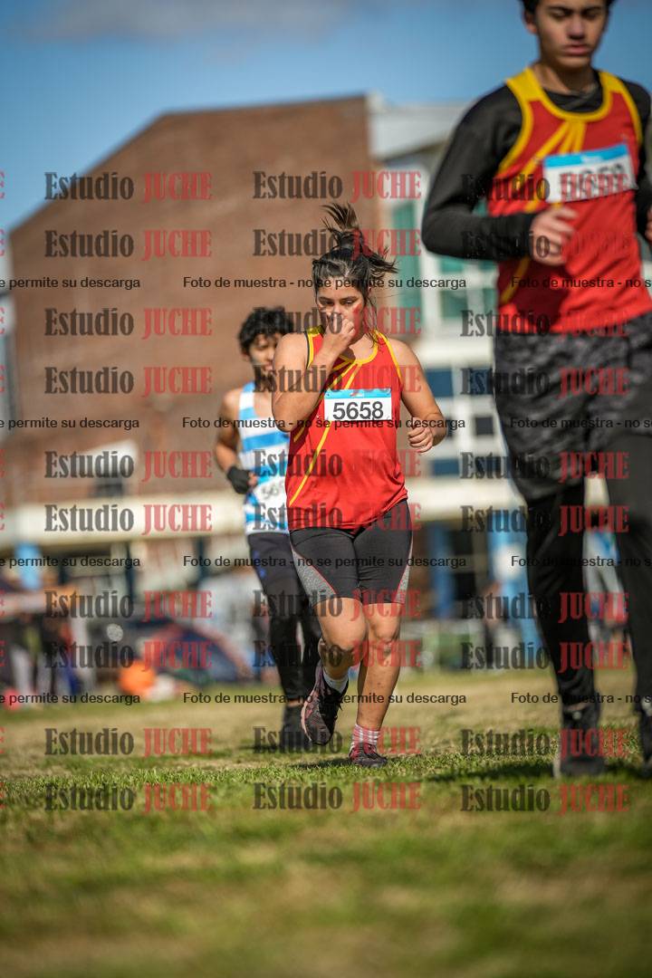 Fotos en el circuito