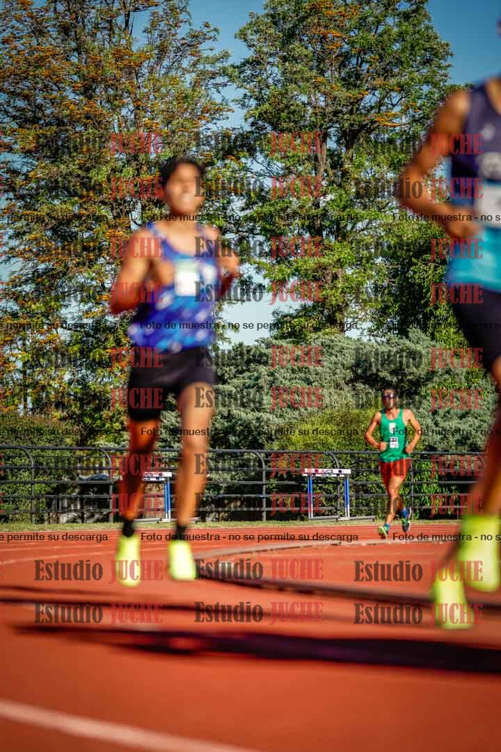 Fotos de los 3000 m llanos de varones