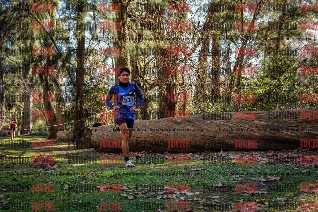 Fotos en el quinto punto del circuito