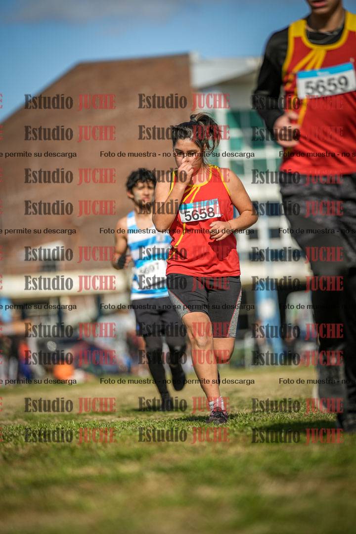 Fotos en el circuito